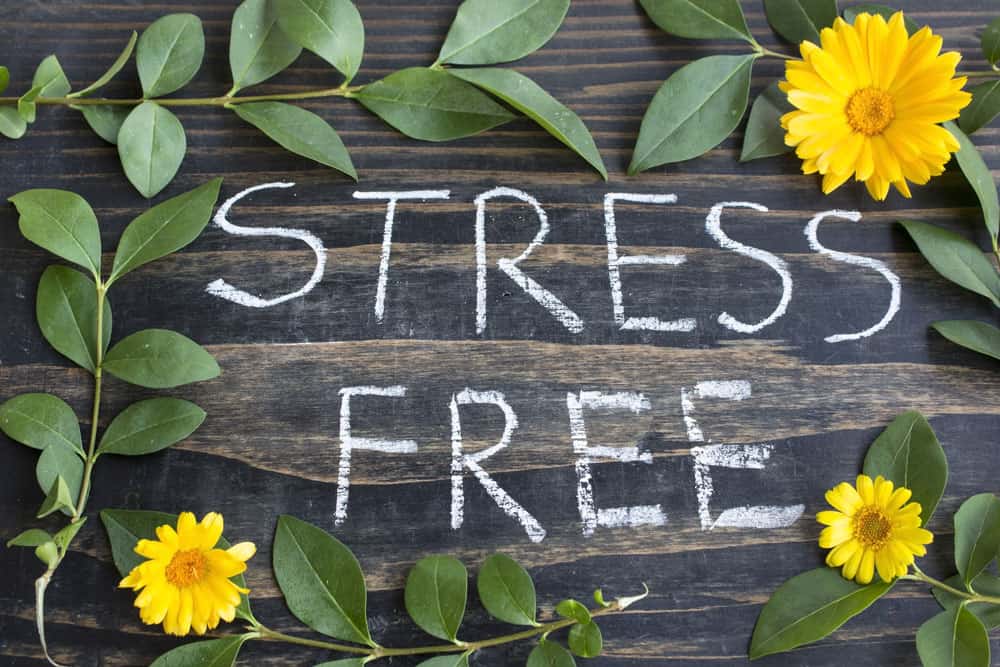 National Stress Awareness Month: It’s Your Cue to Start Reducing the